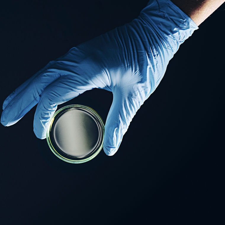 Eine Hand in blauem Gummihandschug hält eine leere Petrischale.