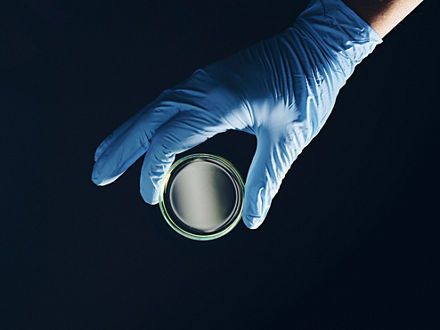 Eine Hand in blauem Gummihandschug hält eine leere Petrischale.