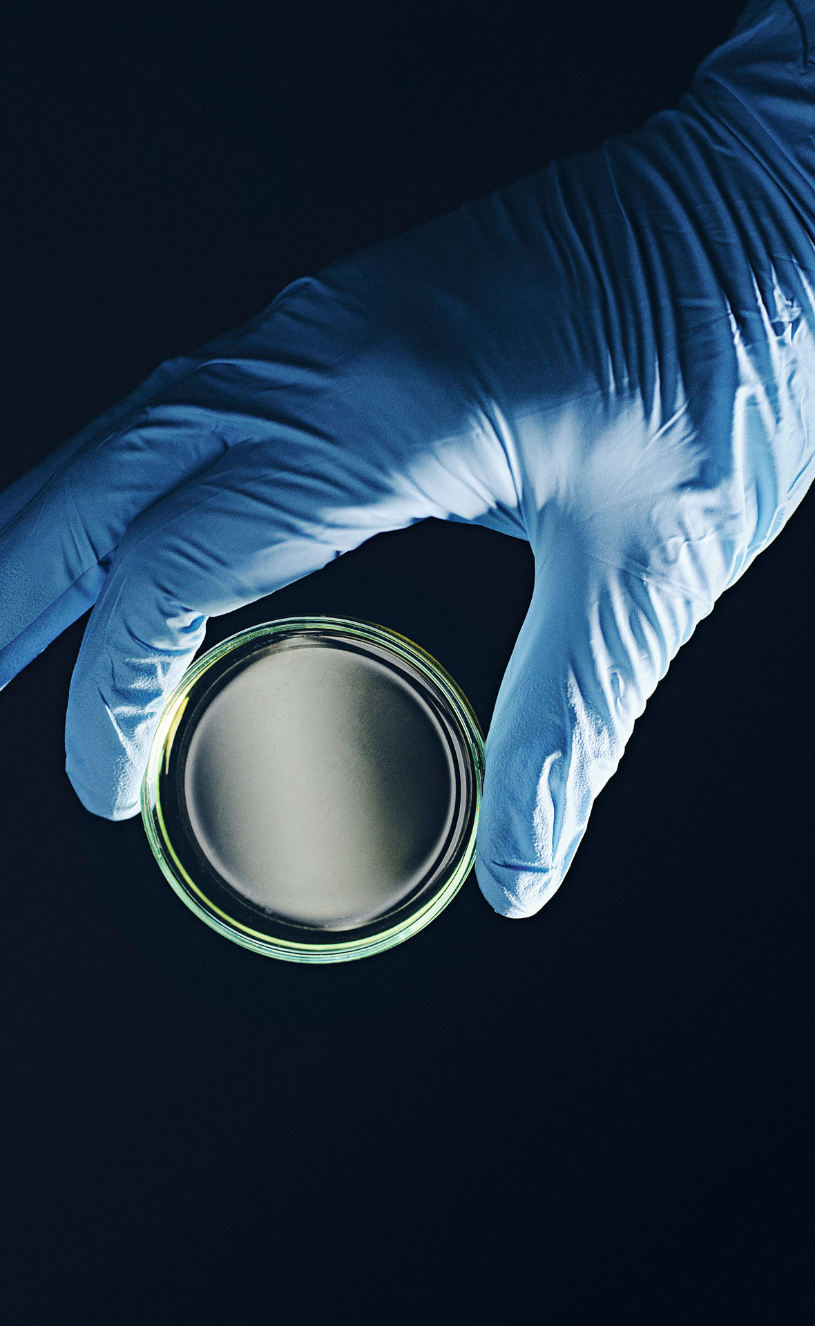 Eine Hand in blauem Gummihandschug hält eine leere Petrischale.