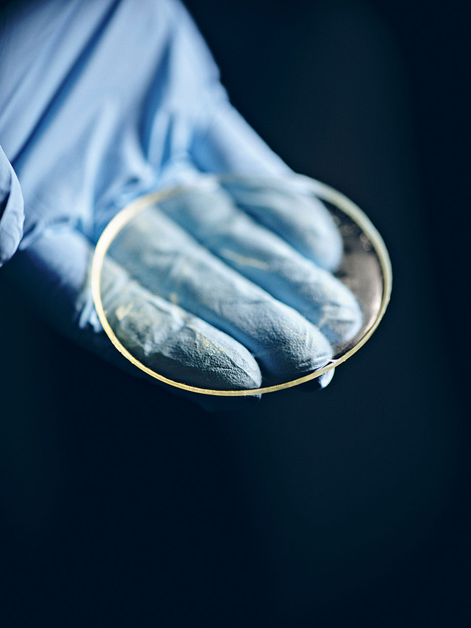 Eine hand hält eine Petrischale mit der geleeartigen Probe.