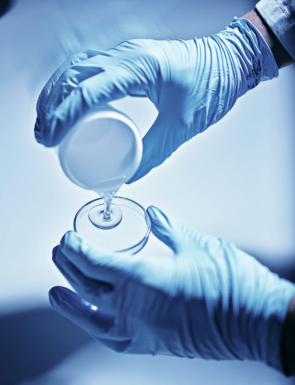 Die Flüssigjeit wird vom Messbehälter in eine Petrischale geschüttet.