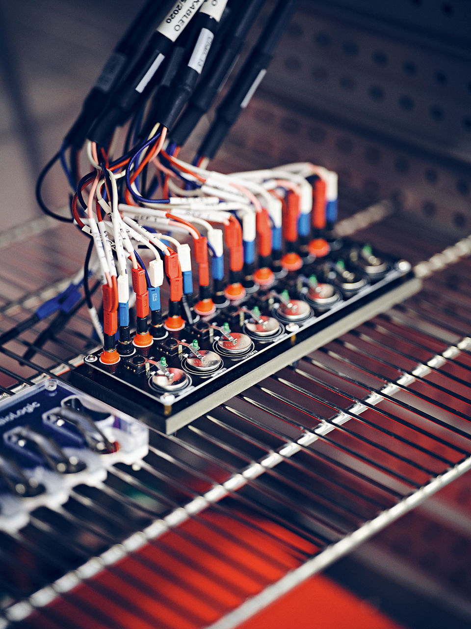 Knopfzellen in einer Halterung, aus der viele Drähte herausführen.