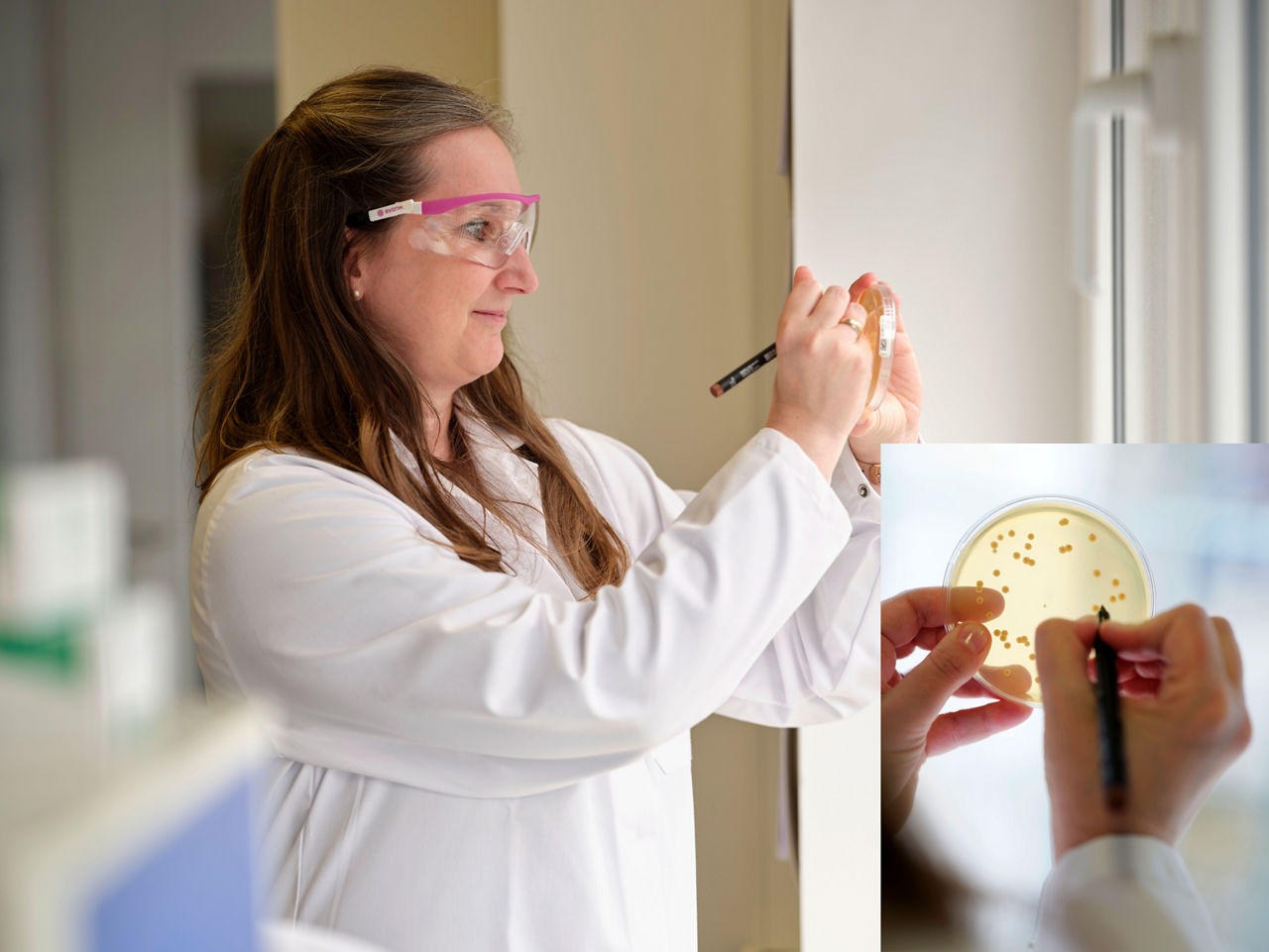 Microbiologist Stella Molck peers through a glass plate at the bacterial culture.