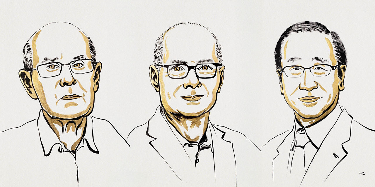 Gezeichnete Portraits der drei Preisräger