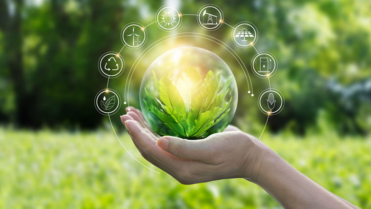 Female hands hold a ball with green leaves
Frauenhände halten eine Kugel mit grünen Blättern
