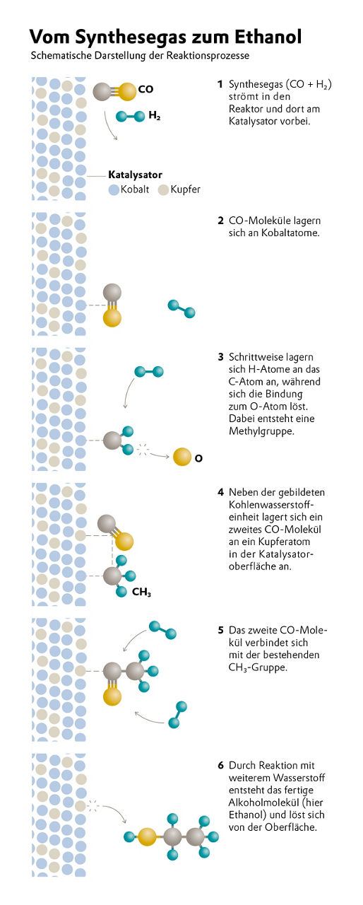 Schematische Darstellung der Reaktionsprozesse.