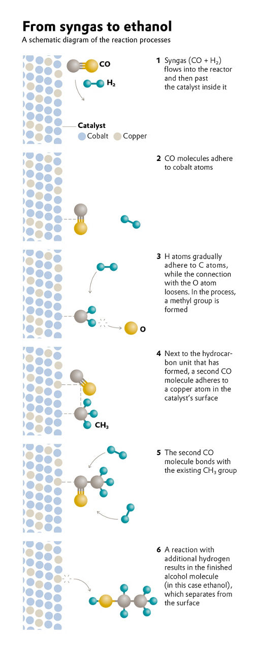 A schematic diagram of the reaction processes.