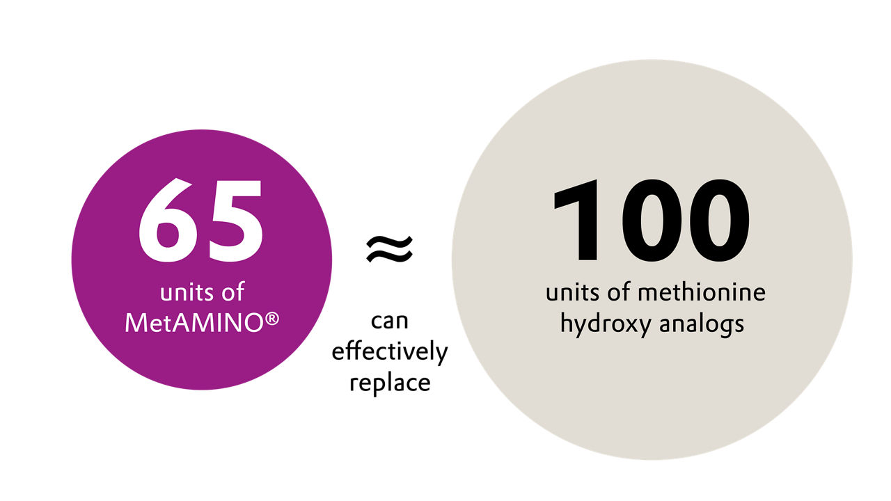 An illustration with two circles indicates that 65 units of MetAMINO can effectively replace 100 units methionine hydroxy analogue