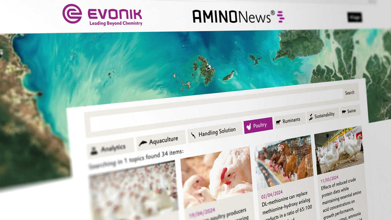 AMINONews® - our customer magazine for the feed and livestock industry