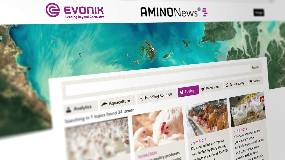 AMINONews® - our customer magazine for the feed and livestock industry