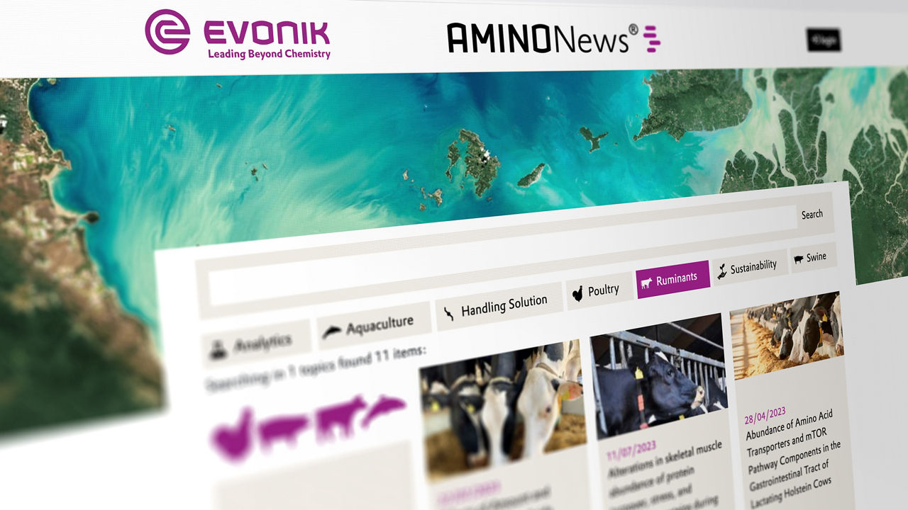 AMINONews® - our customer magazine for the feed and livestock industry