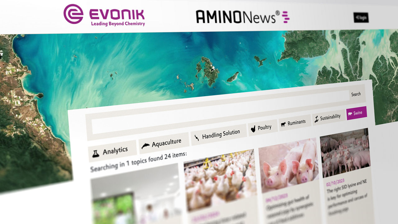 AMINONews® - our customer magazine for the feed and livestock industry