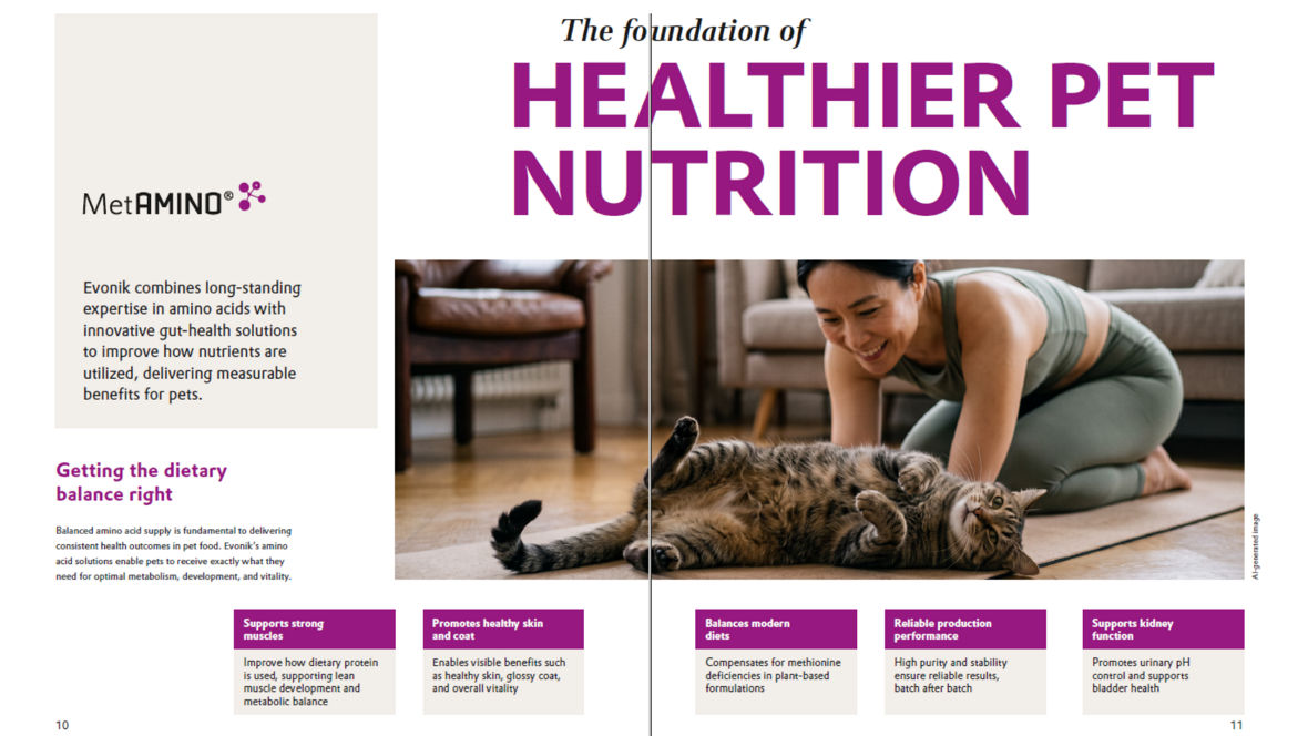 A woman in workout clothes smiling and playing with a relaxed tabby cat on a wooden floor.