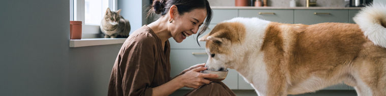 Woman smiling while feeding a large dog indoors, with a cat sitting on a windowsill in the background.