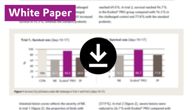 Download the new technical white paper for Ecobiol PRO.