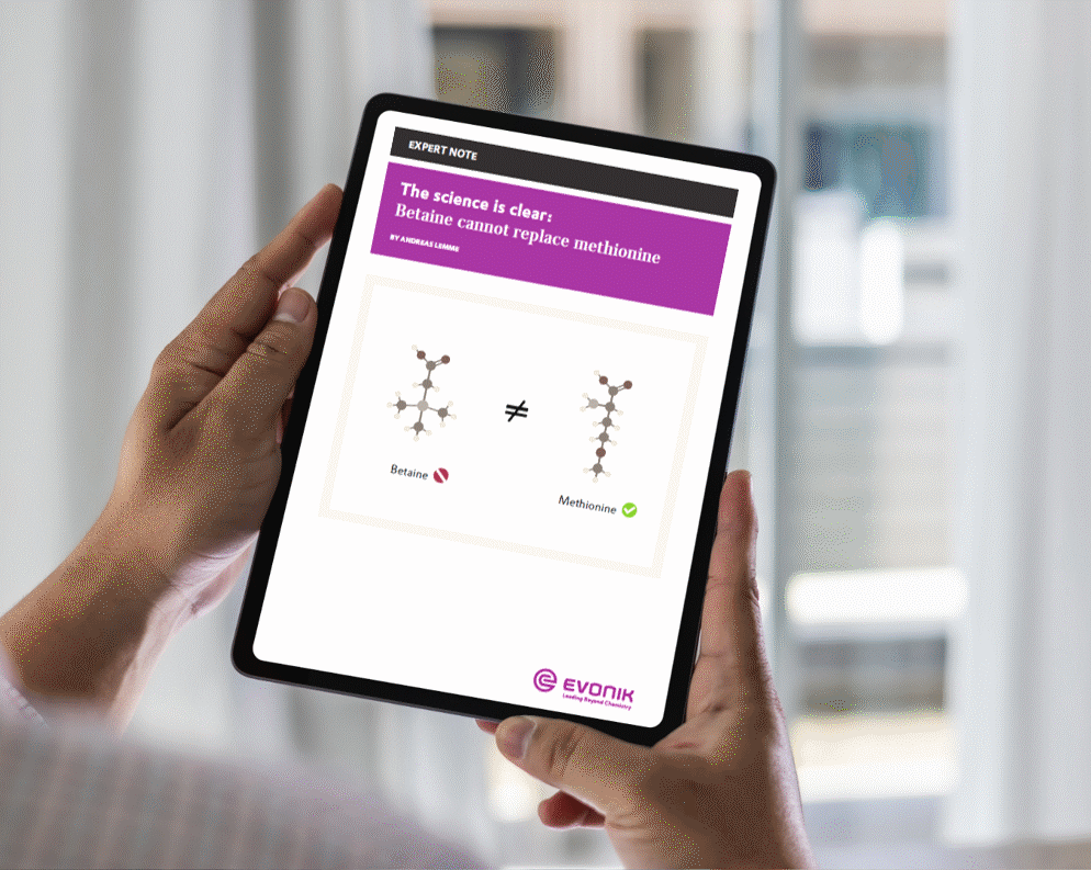 This Expert Note explores the relationship between betaine and methionine in animal nutrition. It explains their biological roles, reviews methionine metabolism, and presents broiler trial data showing why betaine cannot replace methionine in practical feed formulation.