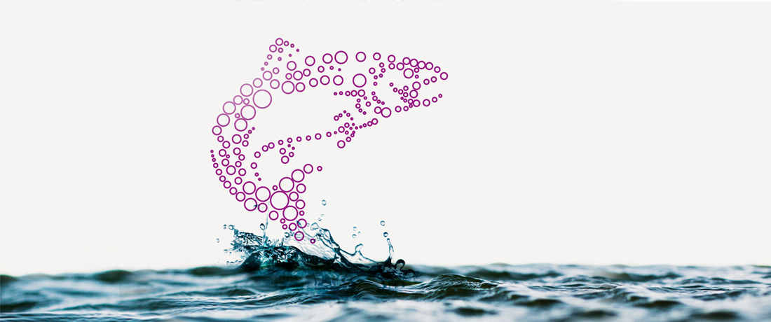 Sustainable aquaculture with peroxides