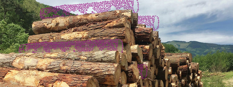 Hydrogen peroxide in the pulp and paper production
