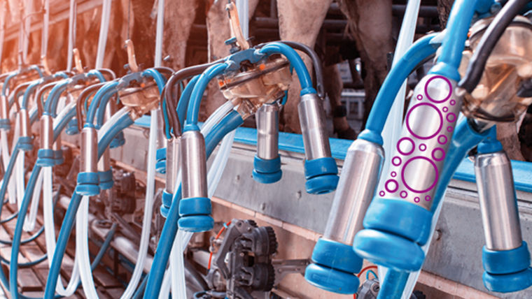 Equipment disinfection in animal farms