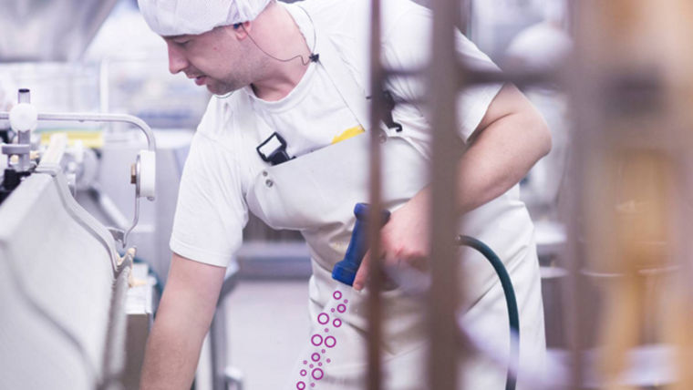 Water system treatment in animal hygiene