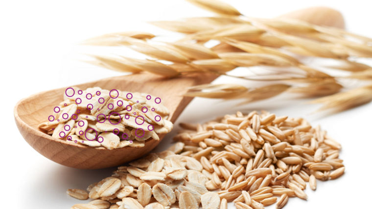 Hydrogen peroxide and peracetic acid are used in food fiber bleaching to support safe and sustainable processing.