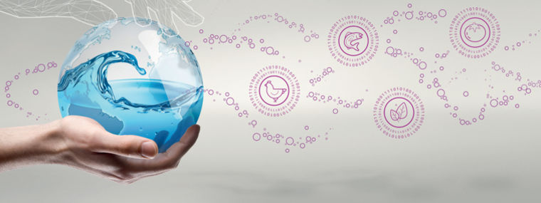 BL AO key visual water hygiene as a service