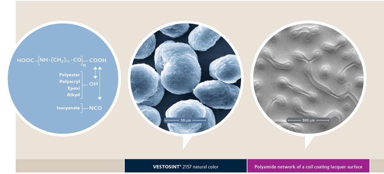 Discover the benefits of adding VESTOSINT® fine powders to your formulations. Explore their chemical properties, microscopic structure, and how they improve the performance of polyamide networks in coatings and lacquers.