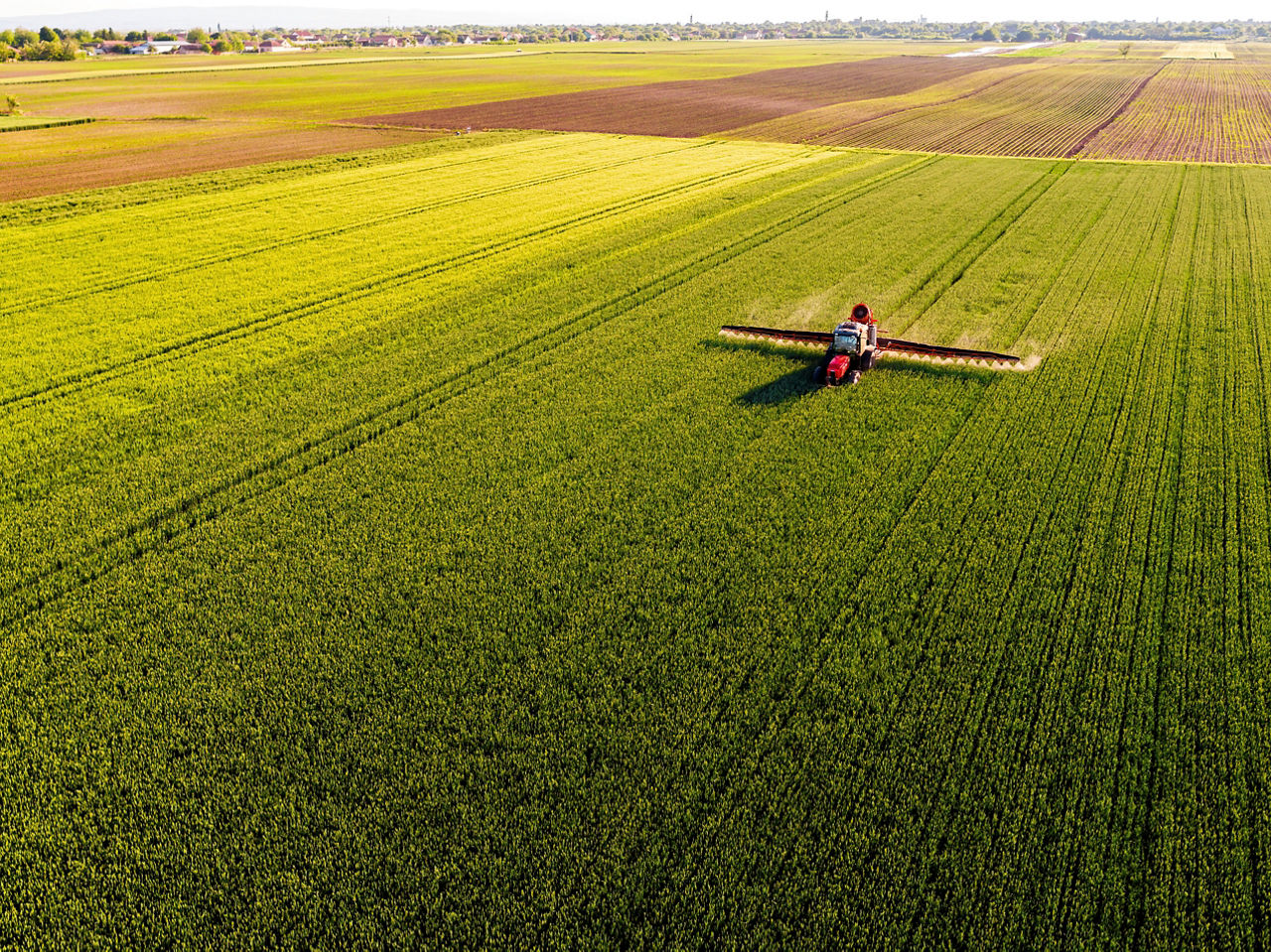 Drone shot of a tractor with sprayer in action on a vibrant green wheat farmland