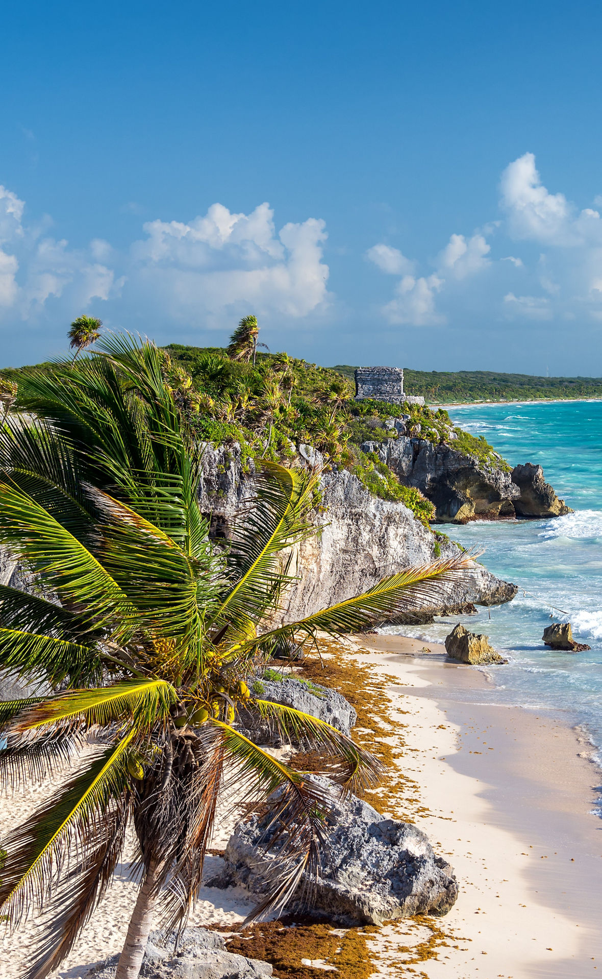 Die Ruinen von Tulum mit Blick auf das Karibische Meer an der Riviera Maya. Die Ruinen liegen erhöht auf einem Felsen, vorn eine Palme, rechts türkisblaues Meer und Sandstrand.