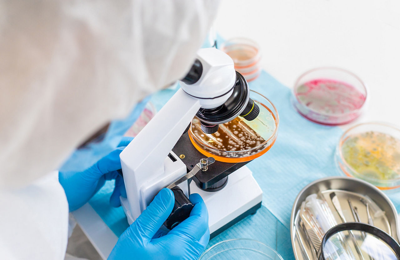 Peressigsäure hat den Vorteil, sowohl krankheitserregende Bakterien und Viren als auch verderbniserregende Organismen wirksam zu bekämpfen.