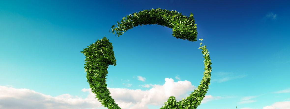 Sustainable development, eco friendly lifestyle concept. 3d rendering of arrow circle icon on fresh spring meadow with blue sky in background.
