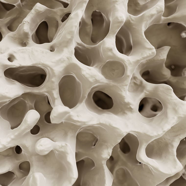 Nahaufnahme der Struktur des menschlichen Knochens