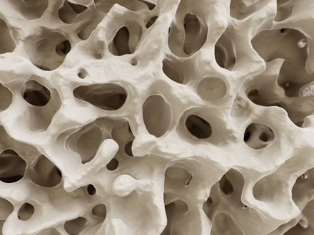 Nahaufnahme der Struktur des menschlichen Knochens