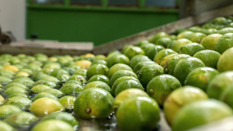 Wasserstoffperoxid wird in Waschbädern und der Kaltvernebelung von Obst und Gemüse zur Entkeimung eingesetzt.
