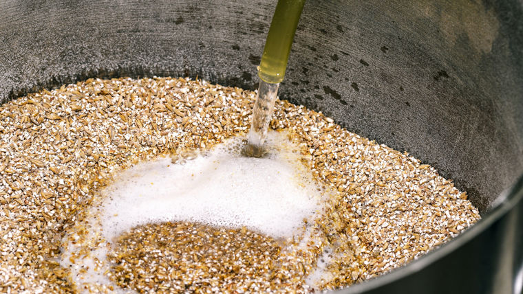 Mit VIGOROX® Ceres Fusarienpilze in Malzgerste bekämpfen