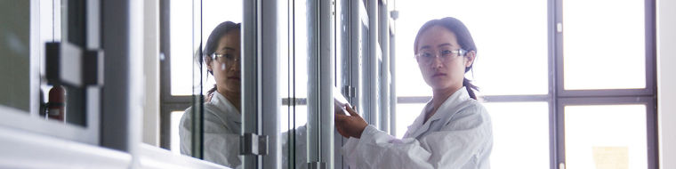 BL AO peracetic acid general information stability and decomposition