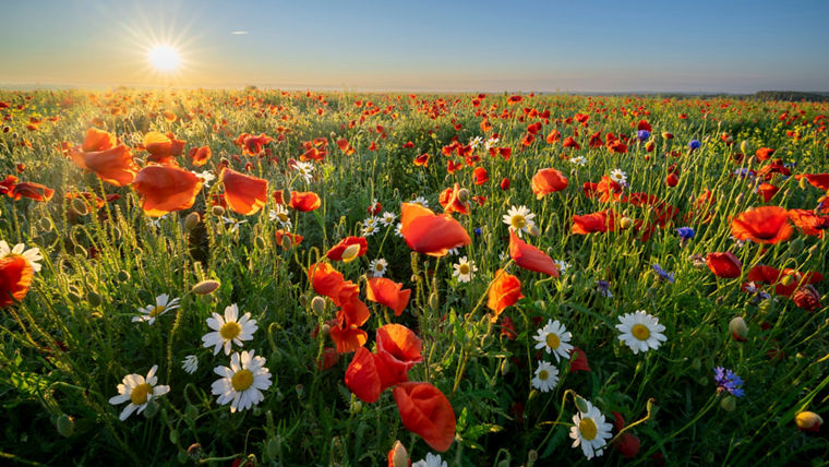 At the land degradation and restoration conference, we will share practical insights.