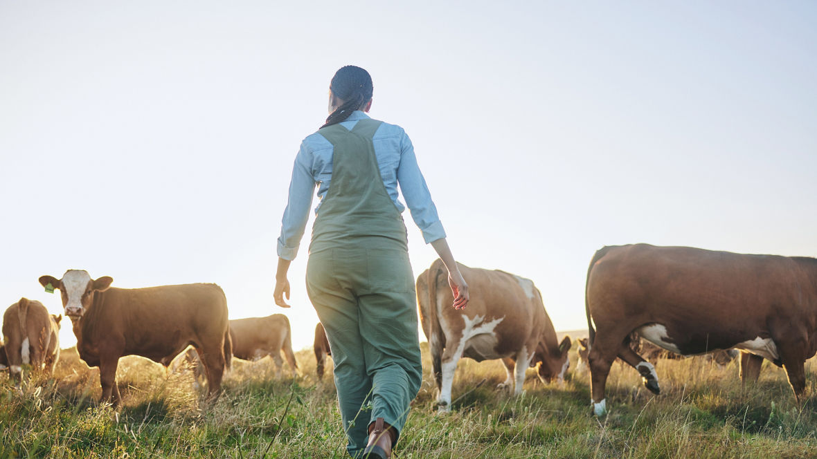 Active Oxygens support the food supply by efficiently combating pathogens