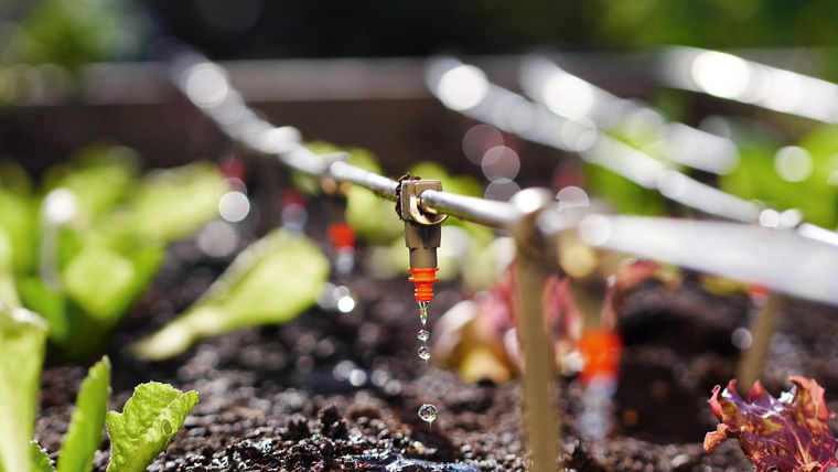 Peroxide können sowohl vorbeugend als auch dann eingesetzt werden, wenn sich bereits Ablagerungen in den Tropfschläuchen gebildet haben.