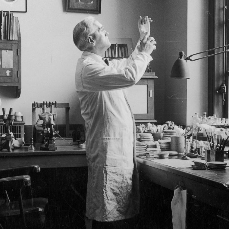 Alexander Fleming in seinem Labor.