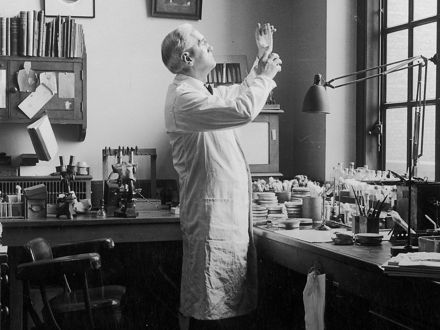 Alexander Fleming in his lab