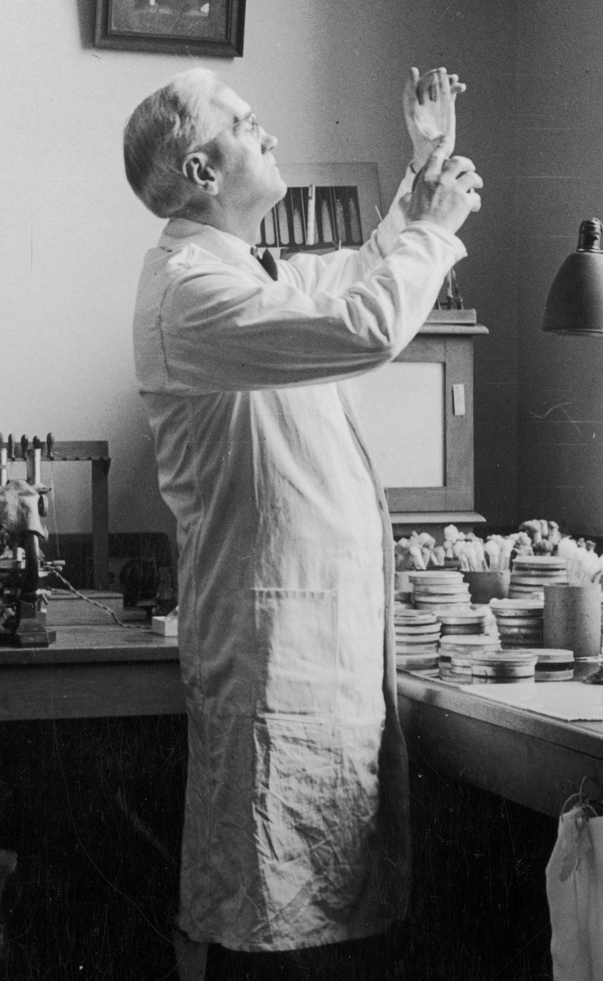 Alexander Fleming in seinem Labor.