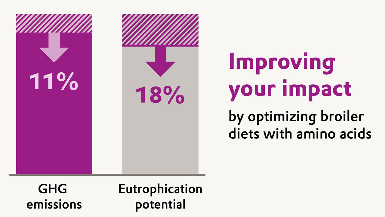 A chart illustrating the handprint LCA benefits of optimizing broiler diets with amino acids, showing up to 11% lower greenhouse gas emissions and up to 18% lower eutrophication potential.