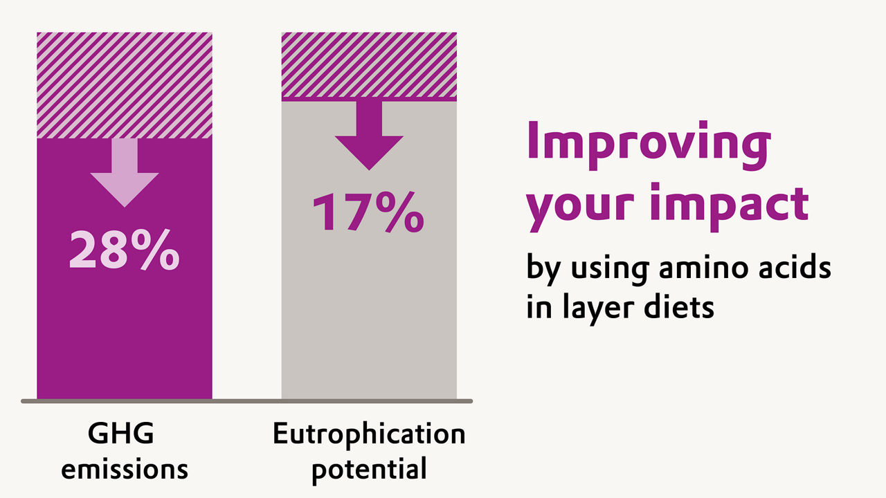 A chart illustrating the handprint LCA benefits of using amino acids in layer diets, showing up to 28% lower greenhouse gas emissions and up to 17% lower eutrophication potential.