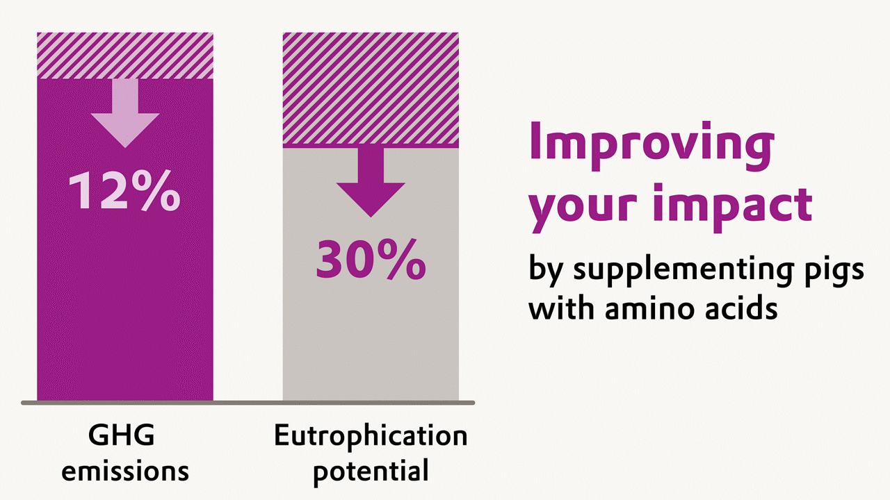A chart illustrating the handprint LCA benefits of supplementing pig diets with amino acids, showing up to 12% lower greenhouse gas emissions and up to 30% lower eutrophication potential.