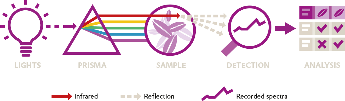 Illustration depicting the process of light analysis using a prism, sample detection, and data analysis.