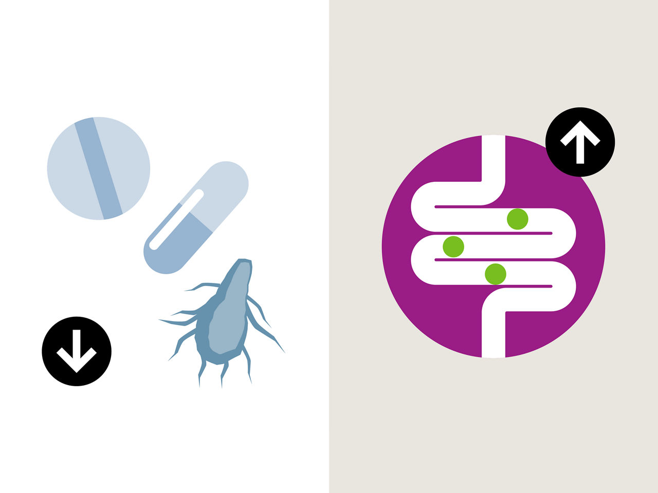 Holistic solutions such as probiotics reduce the need for antibiotics, and boosts gut health and performance