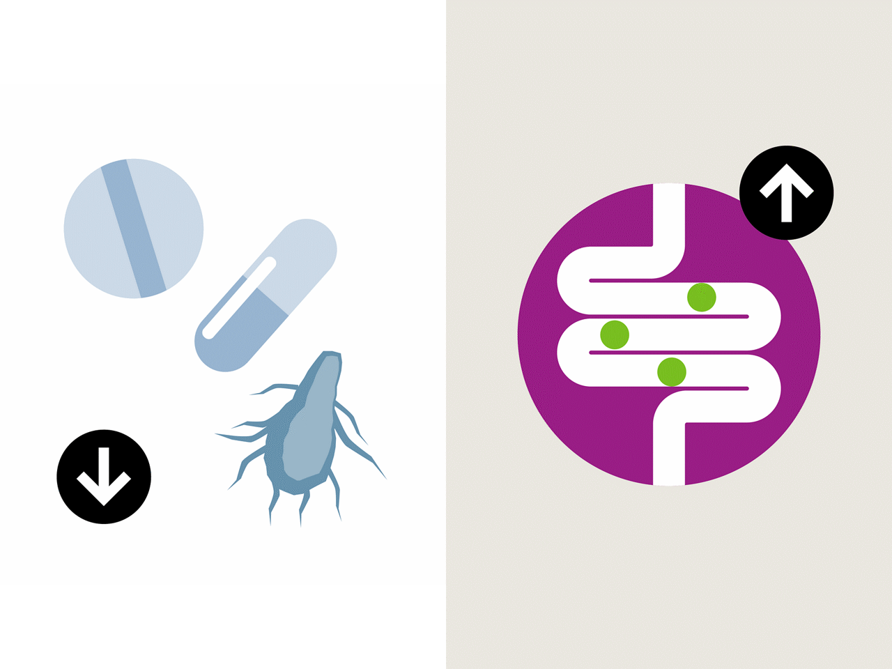 Holistic solutions such as probiotics reduce the need for antibiotics, and boosts gut health and performance