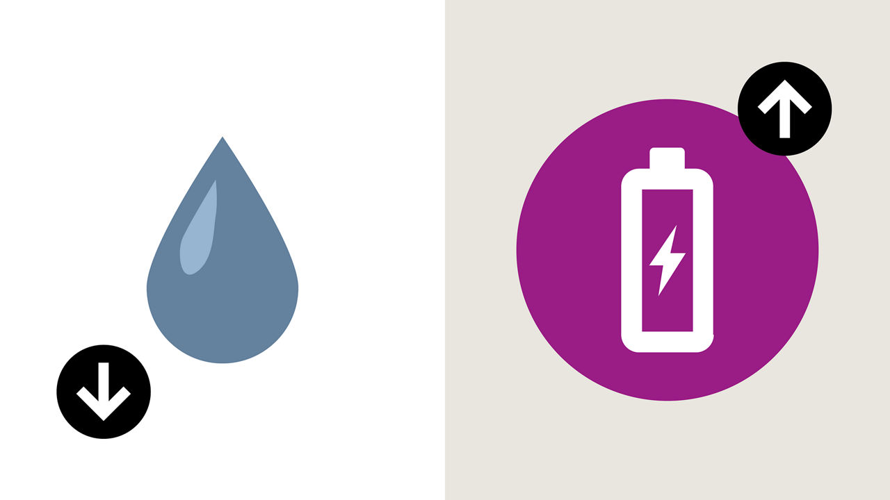 Addressing livestock energy requirements supports optimal health and boosts performance