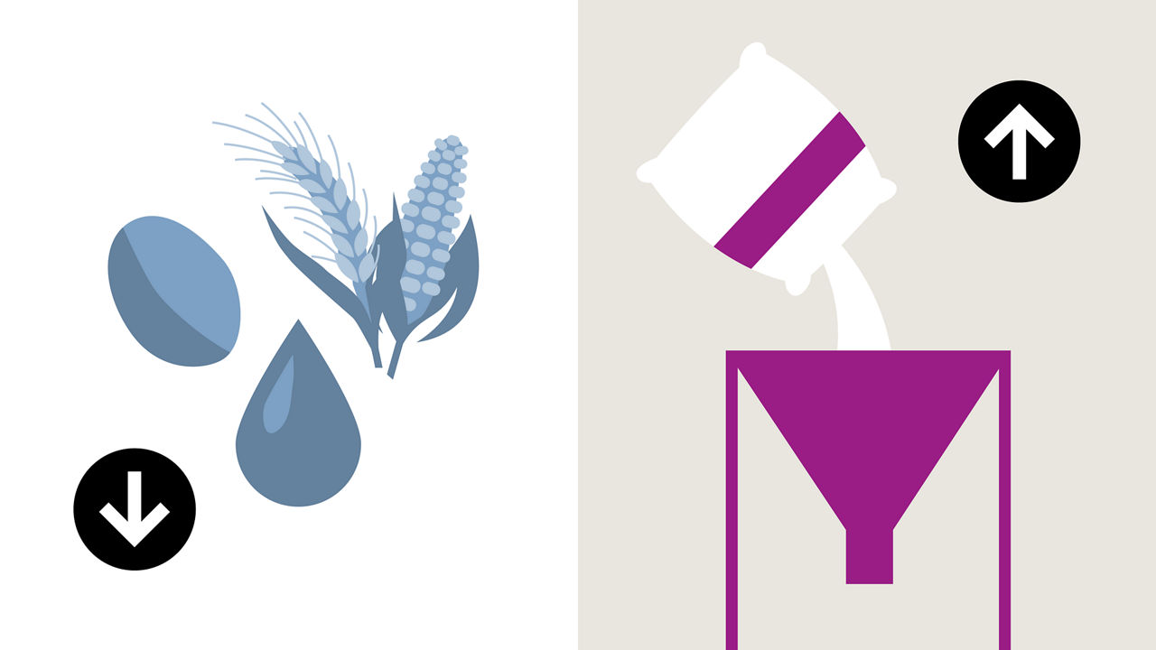 Low crude protein diets enhanced with Evonik’s amino acids boost livestock health and performance